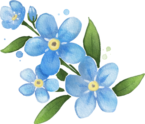 Forget me not